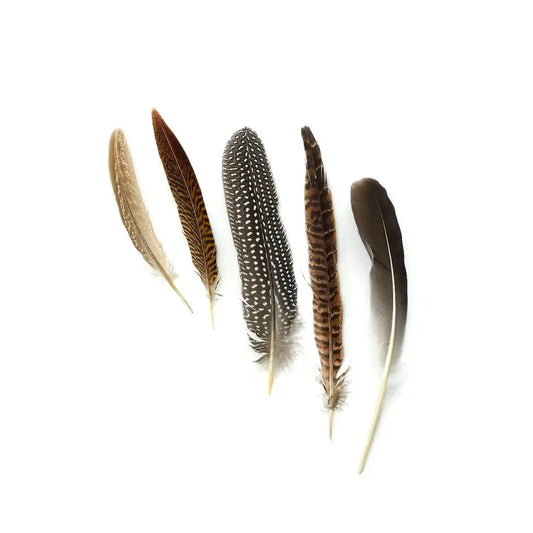 Assorted Guinea and Goose Rounds Quill & Pheasant Tails