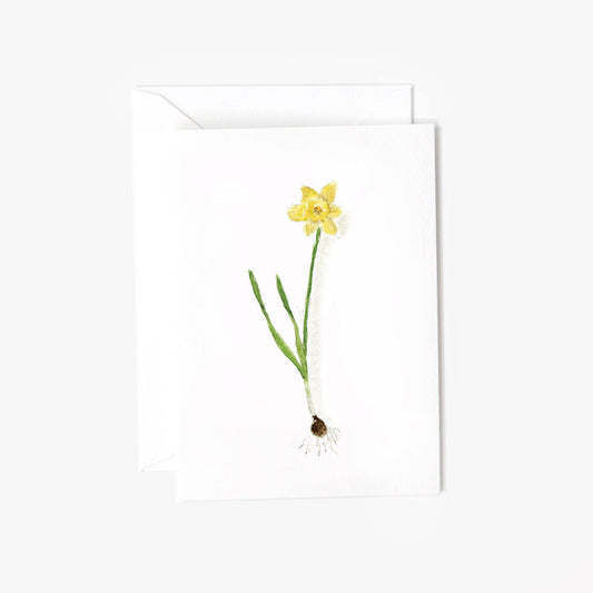 Daffodil bulb mini notecard