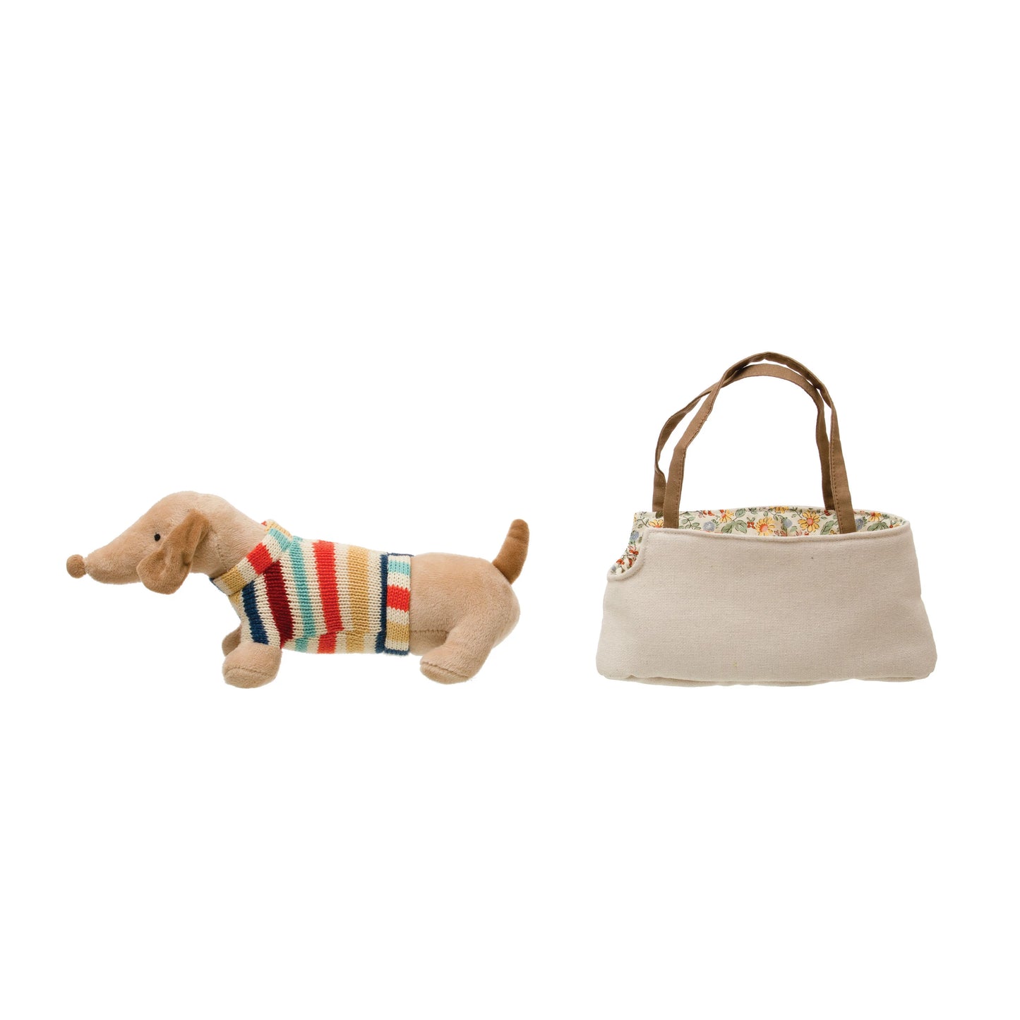 Dachshund in Dog Carrier