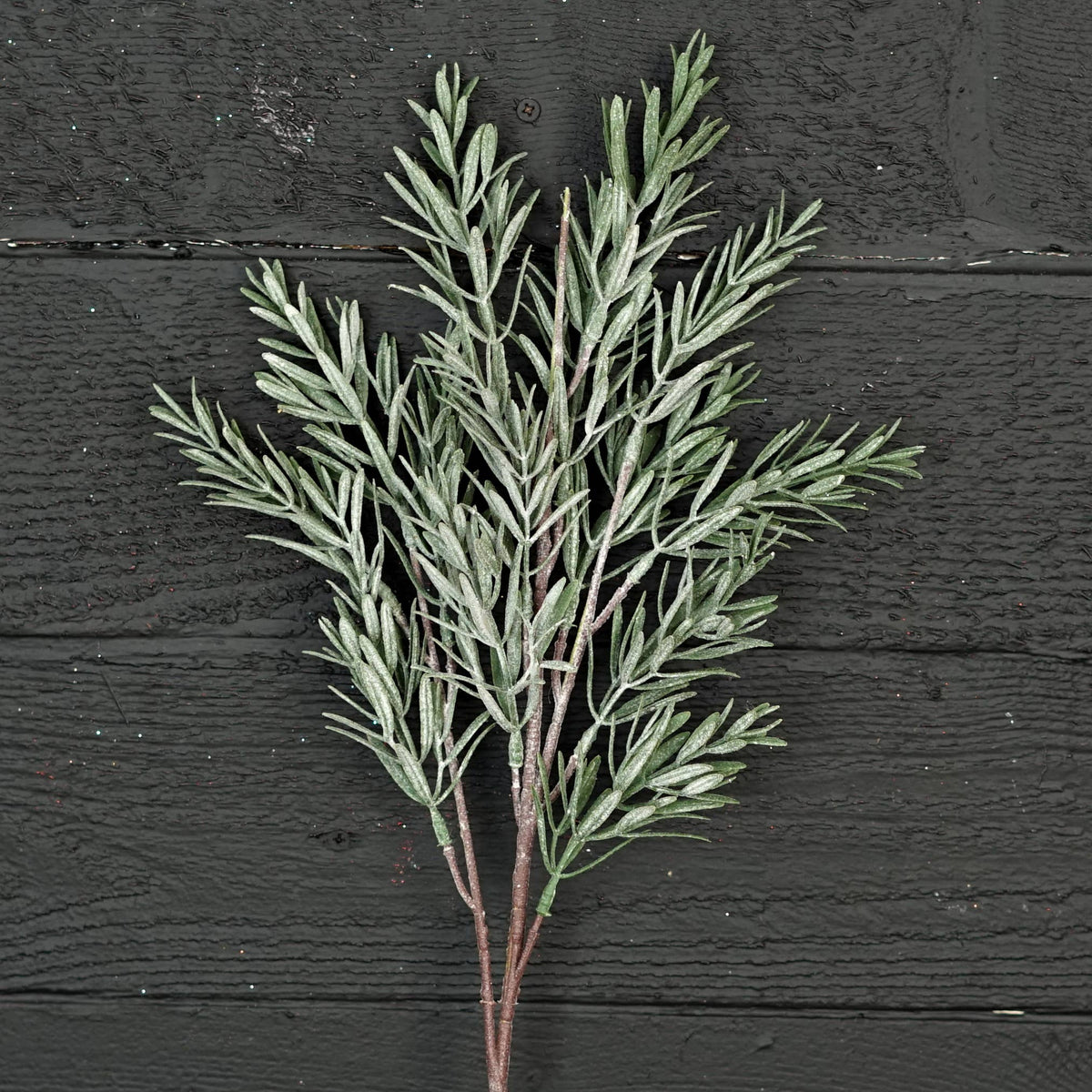 24in Spray-Frosted Rosemary pine spray