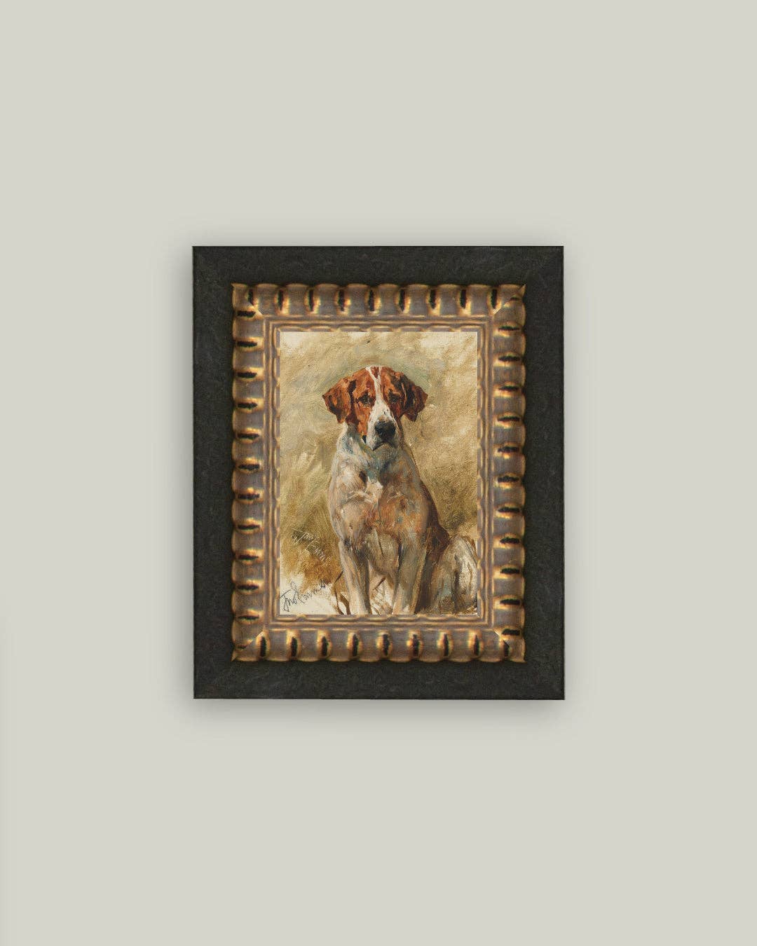 Study of a Hound: 5x7