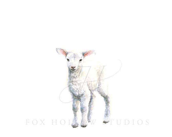 Lamb No. 2 Art Print: 5 x 7"