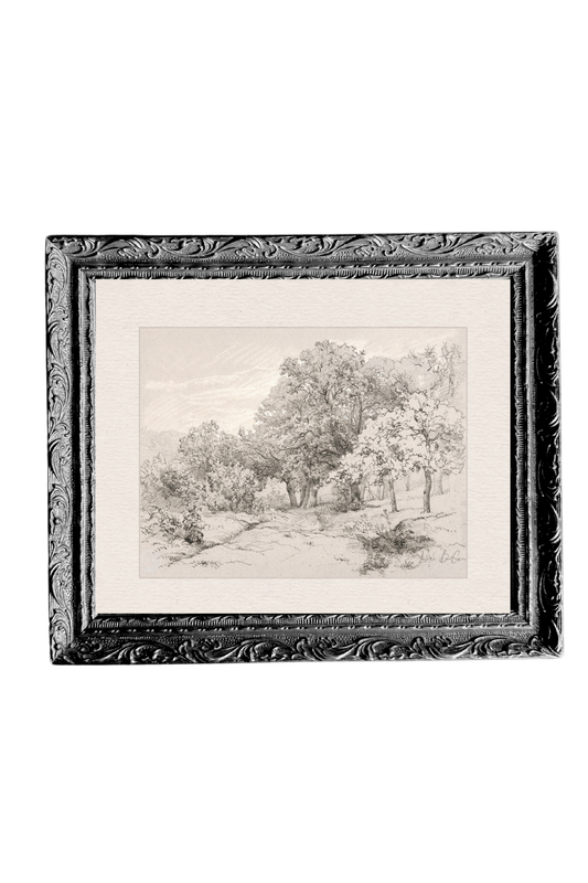Summer Field Sketch | French Black Mould Framed Art: 18 x 22