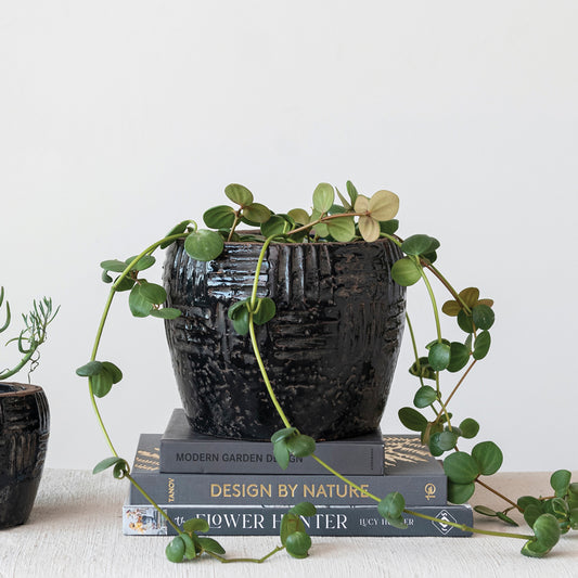 Embossed Terra-cotta Planter, Crackle Finish, Distressed Black (Each One Will Vary)