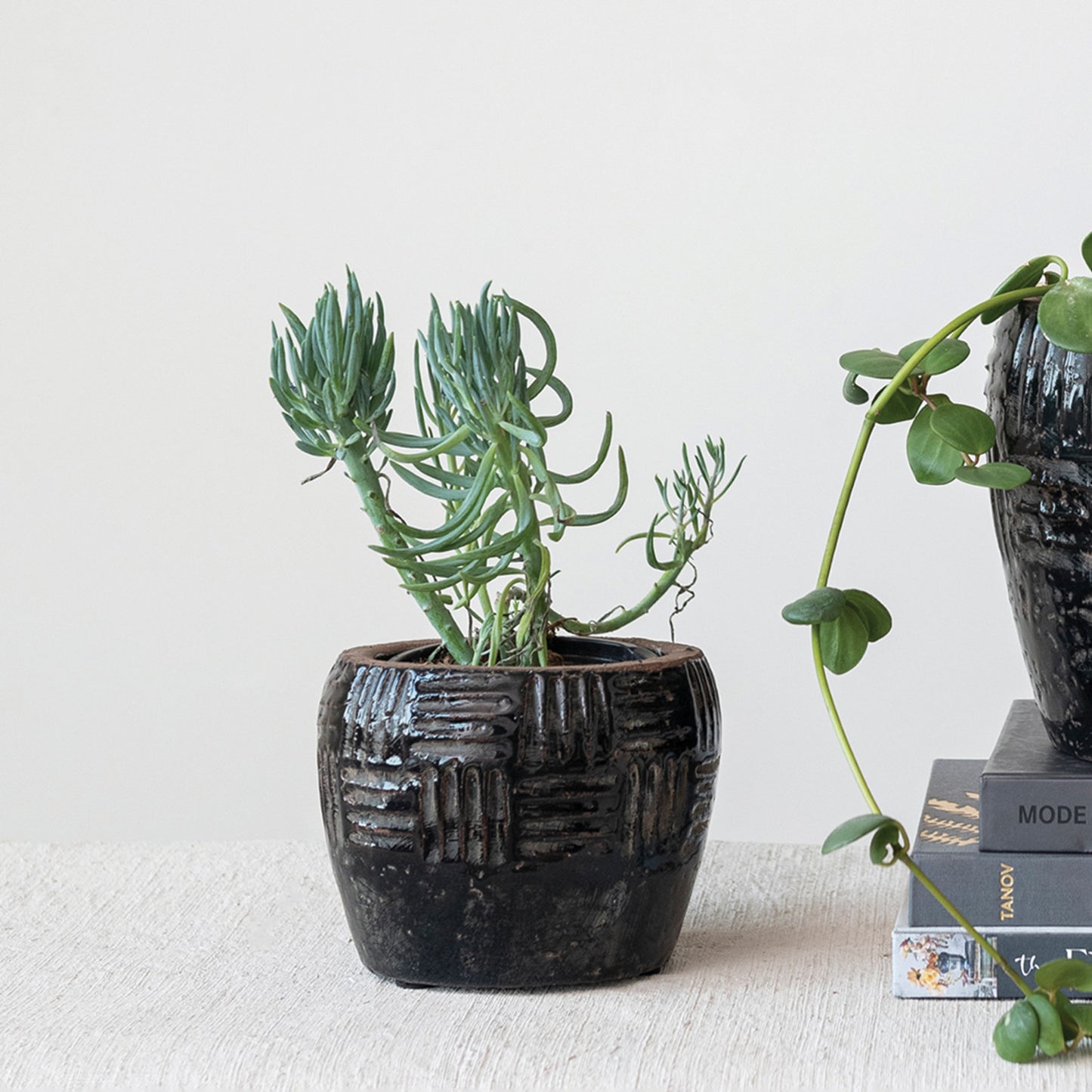 Embossed Terra-cotta Planter, Crackle Finish, Distressed Black (Each One Will Vary)
