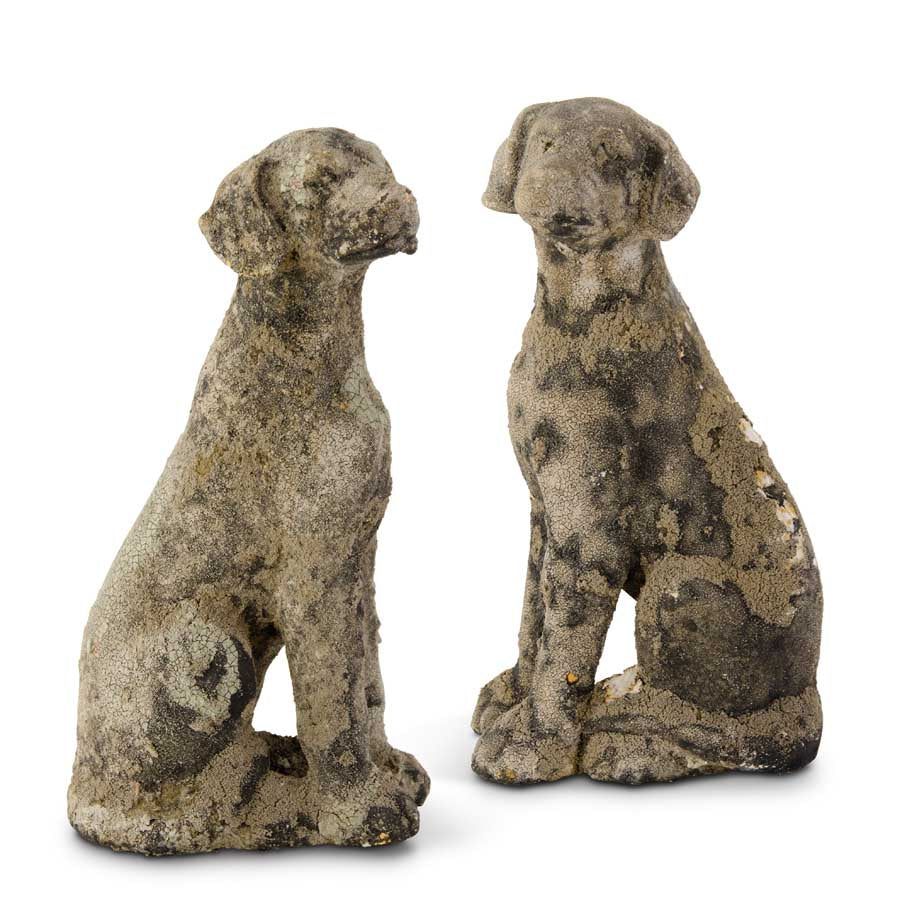 Weathered Stone Dog