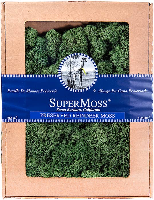 Reindeer Moss Forest Green 4oz