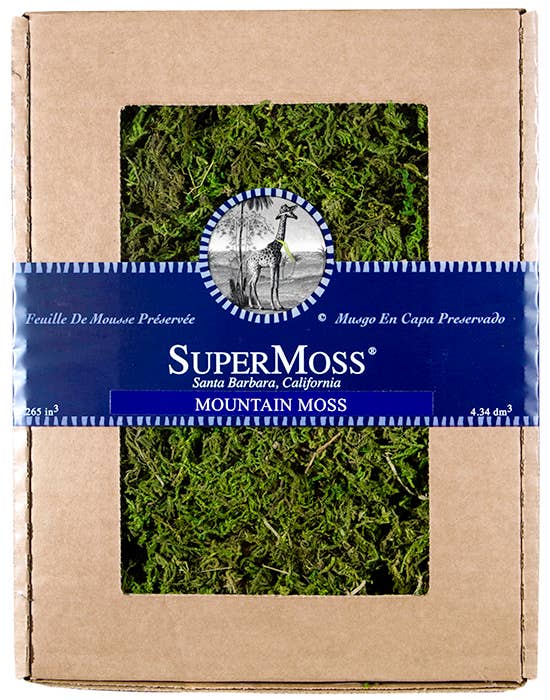 Mountain Moss Preserved