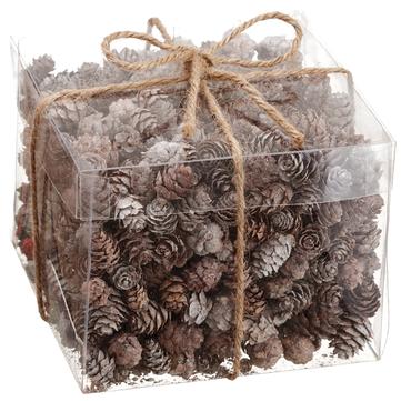 Box of Pine Cone Assortment