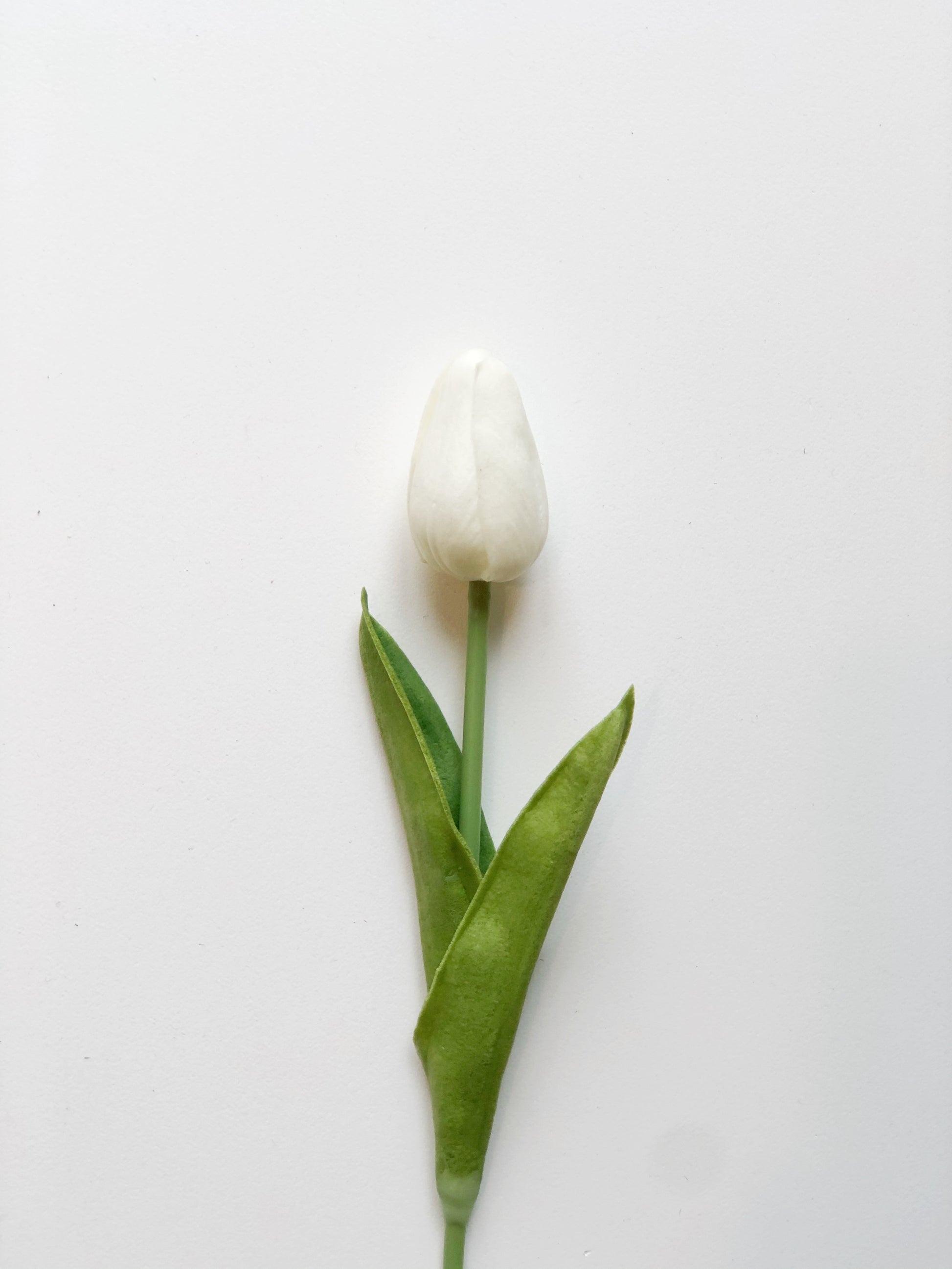 Tulip Short