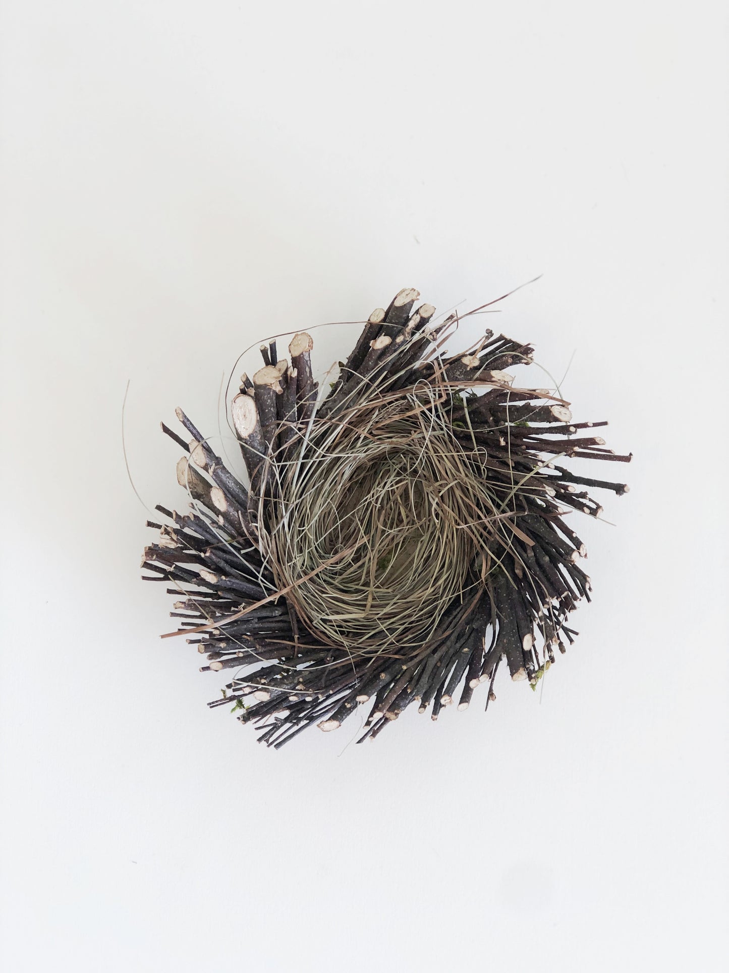 Twig Nest