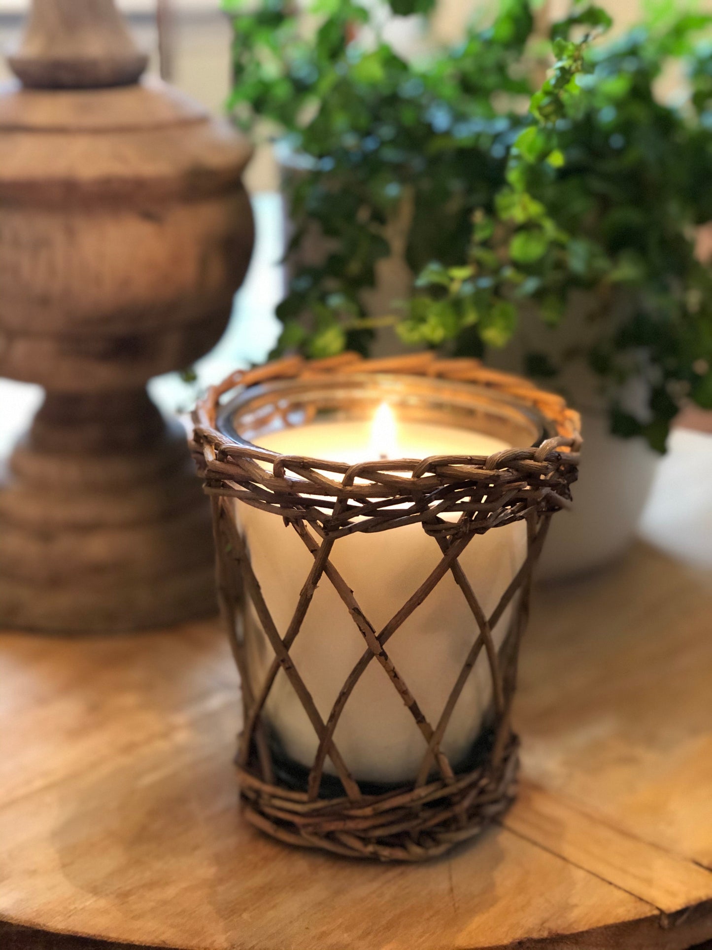 Citrus Grove Willow Candle