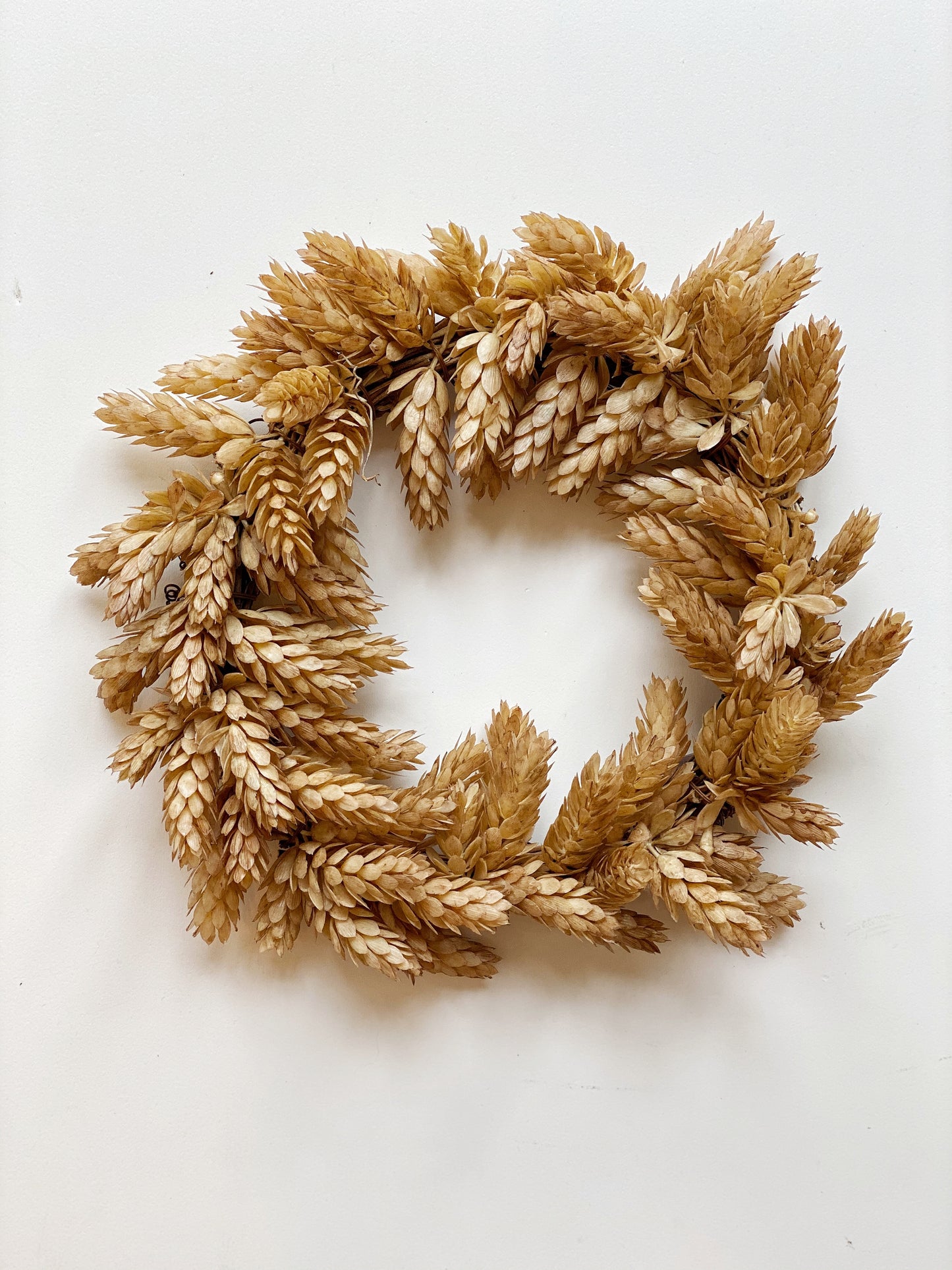 Hops wreath or candle ring