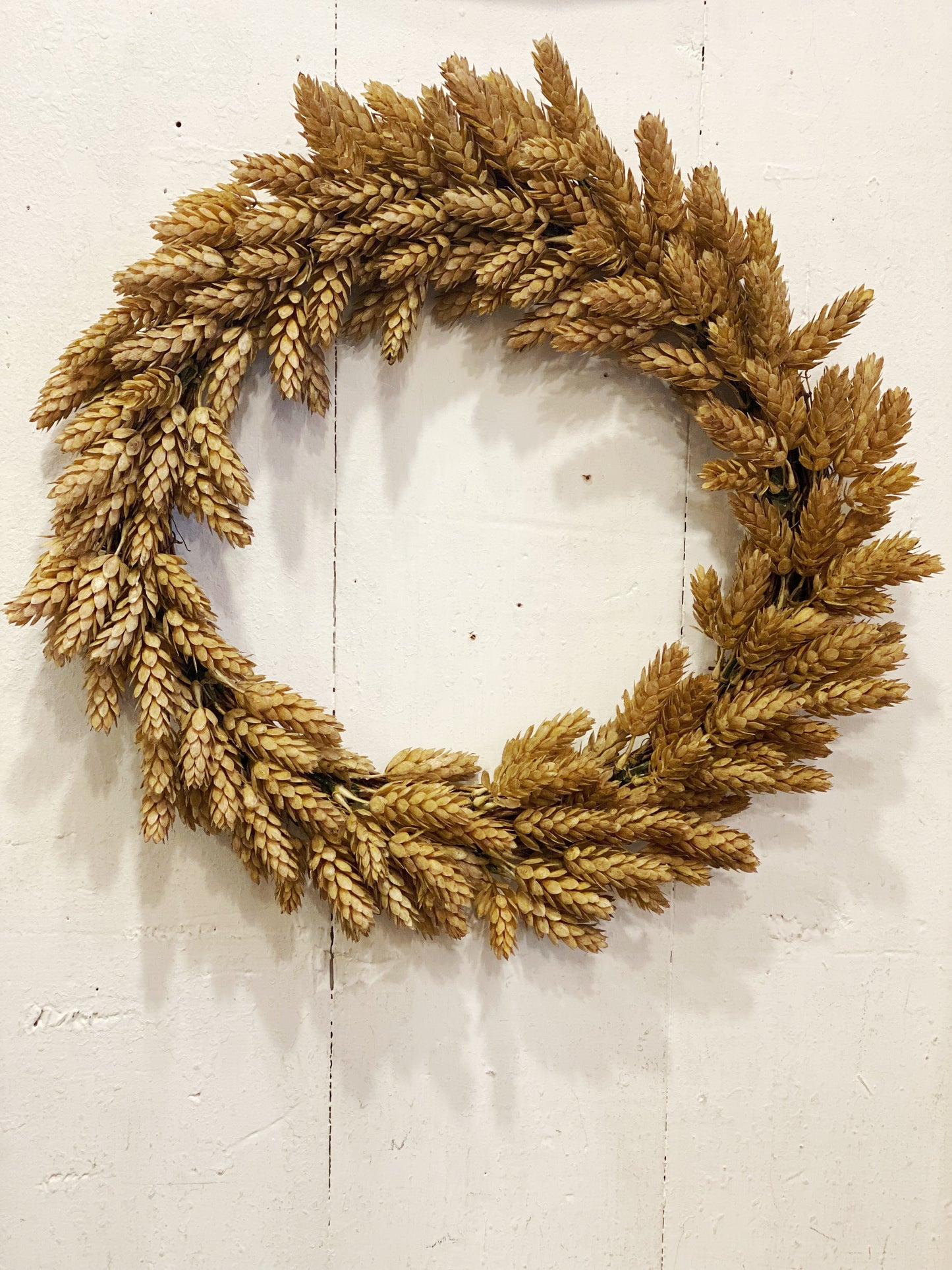 Hops wreath or candle ring