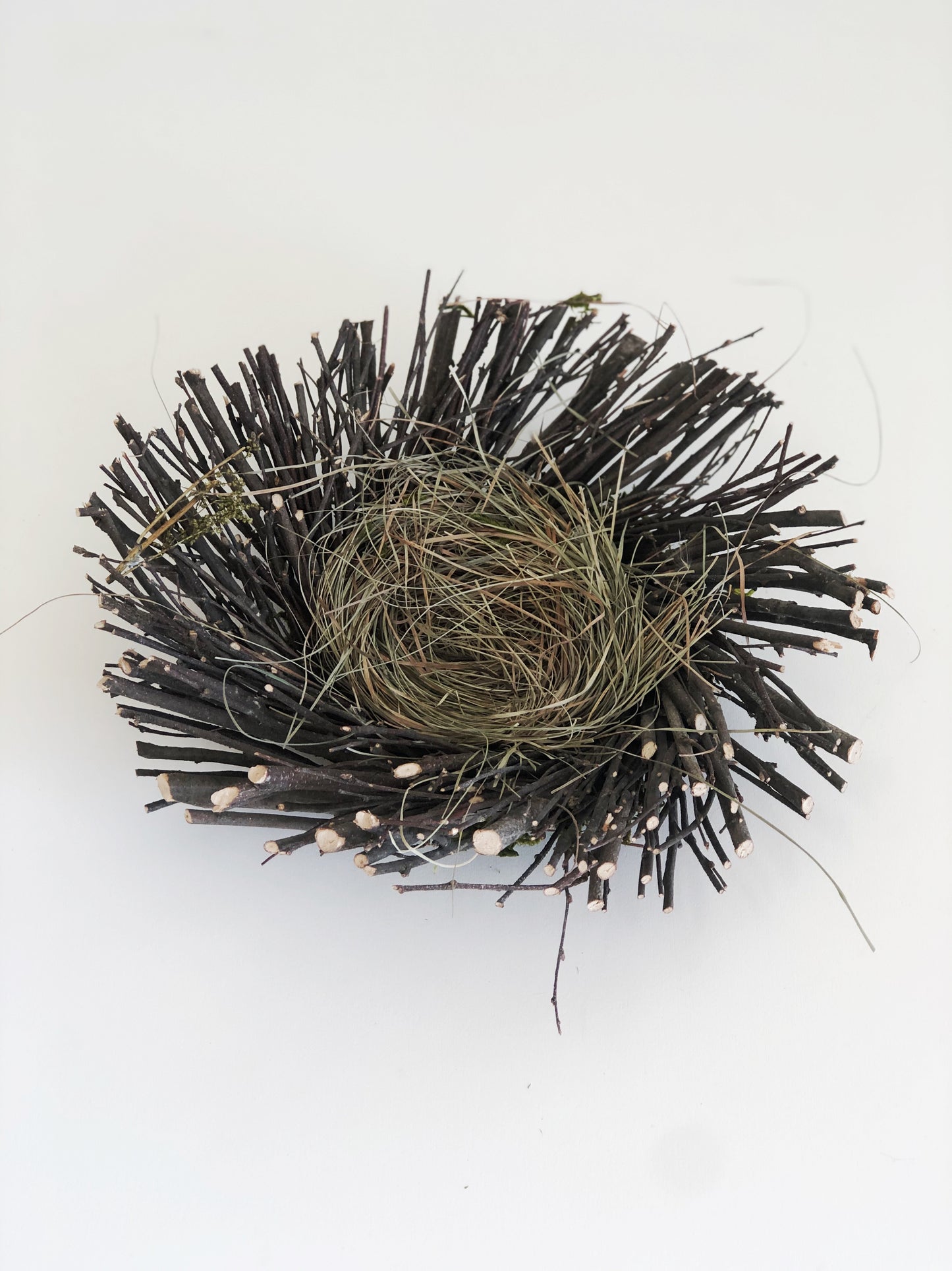Twig Nest