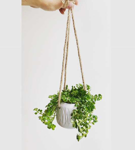 Hanging Mini Planter
