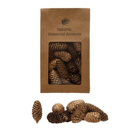 Natural Pinecones