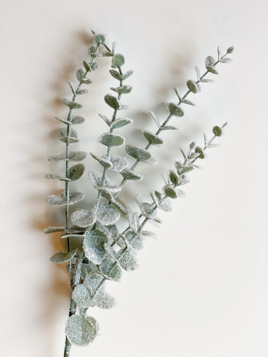 Eucalyptus w/snow spray