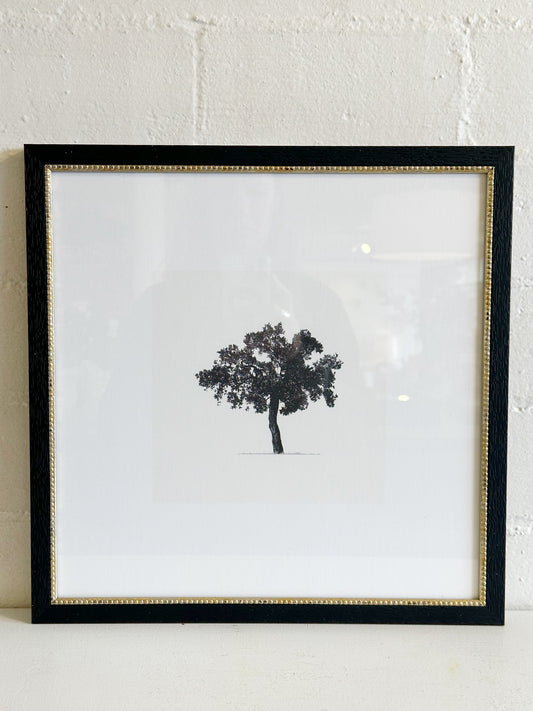 Tree Framed Print