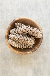 bag of 6 strobus pine cones \ frosted white