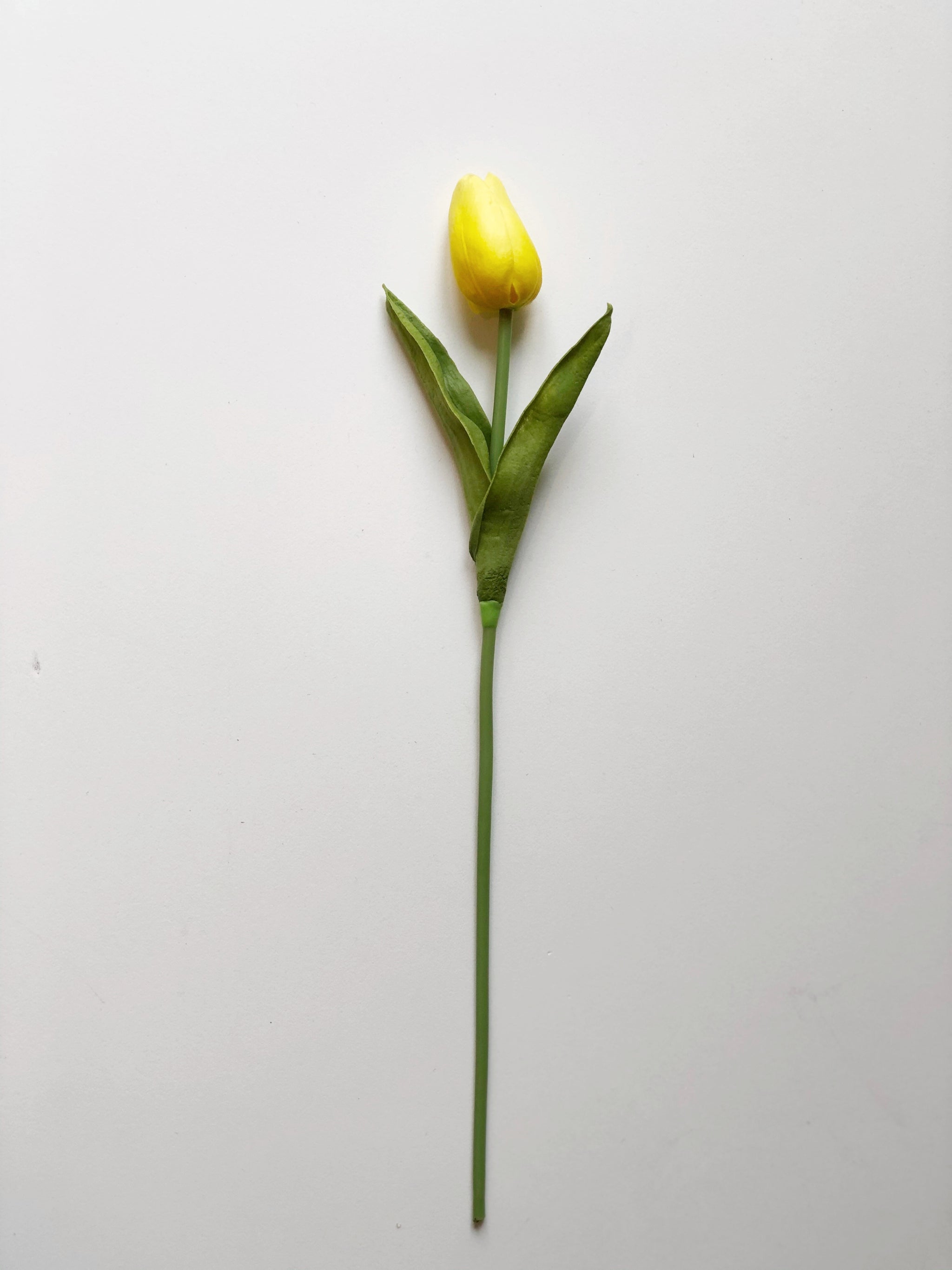 Tulip-Long Stem – Vintage Barn Chicks