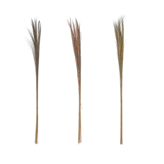 Dried Natural Feather Grass Bunch