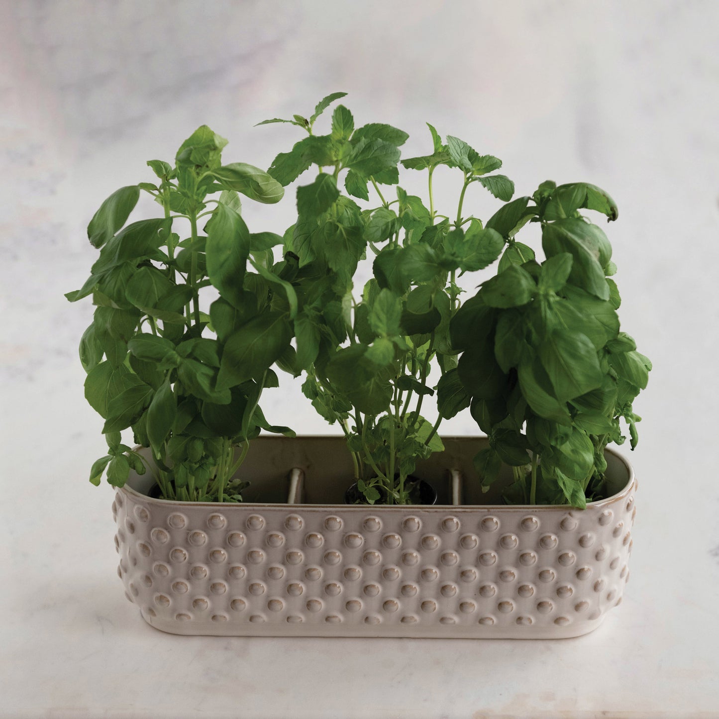 Hobnail Window Planter with 3 Sections