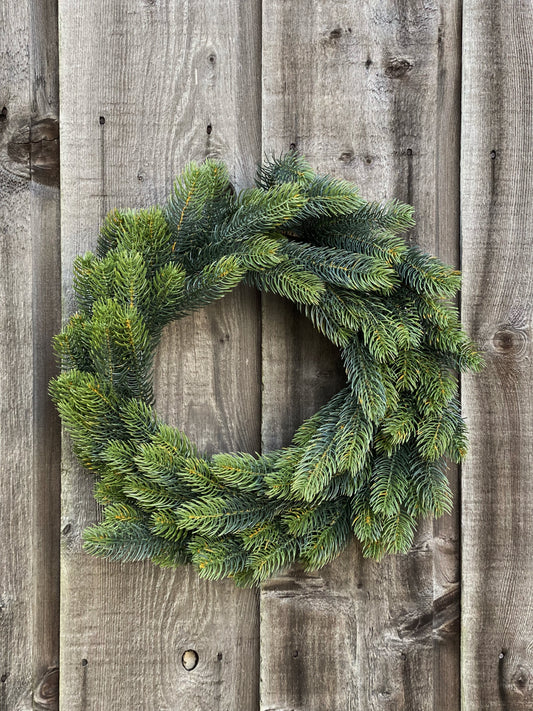 Pine Wreath