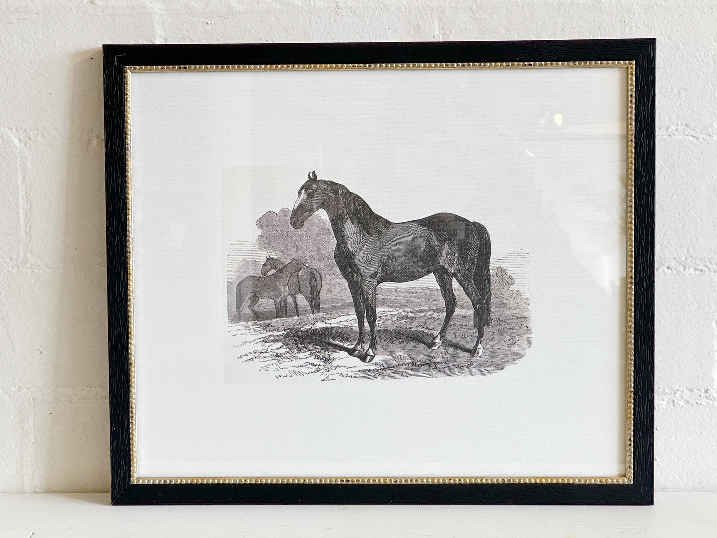 Horse Drawing Framed Print