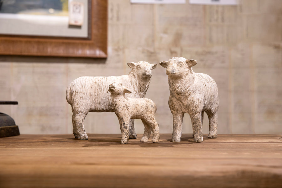 Sheep Family Flock